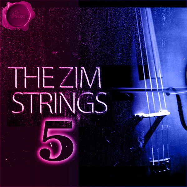 THE-ZIM-STRINGS-5